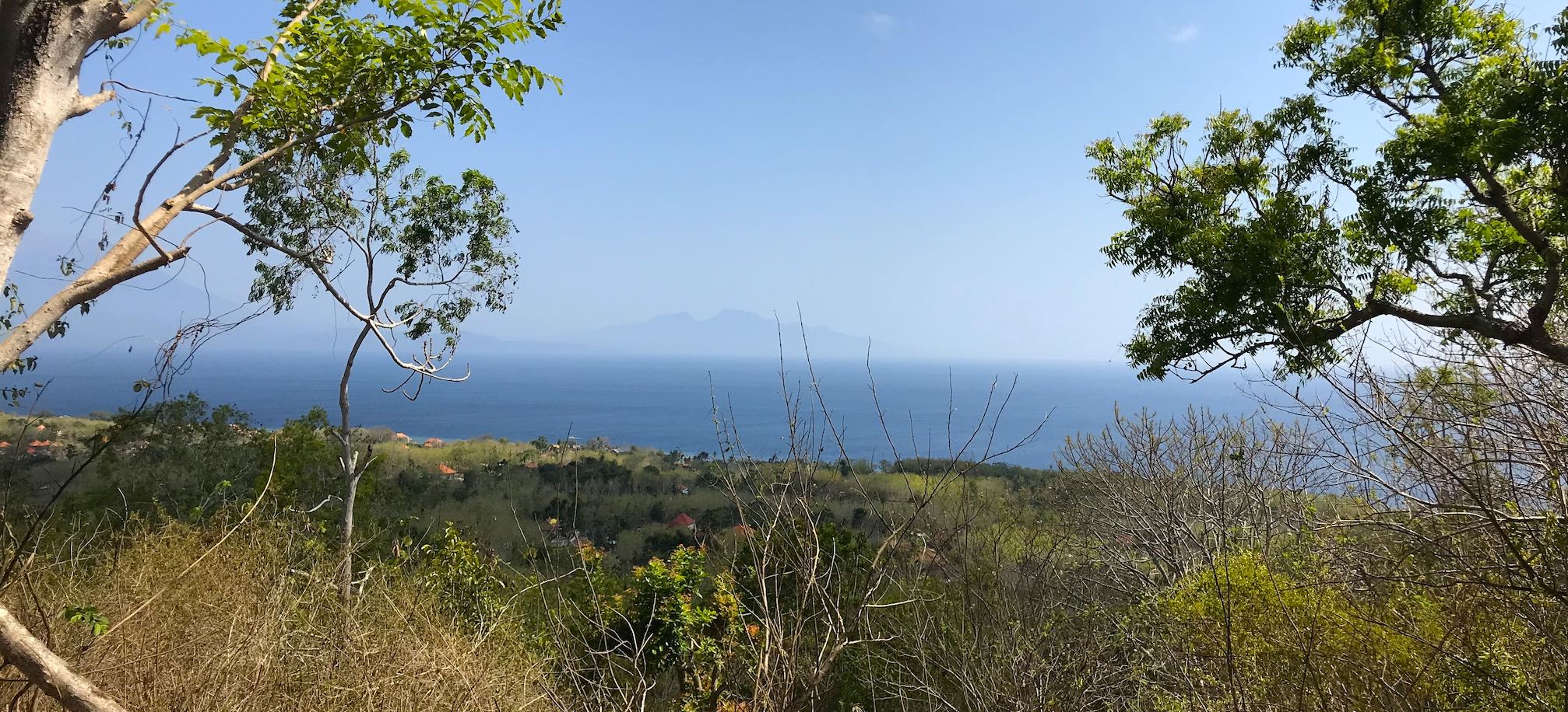 Lush greenery on the Nusa Penida property for sale